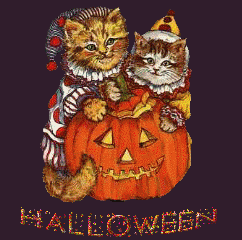 Dwa koty bujające się na dyni w Halloween
